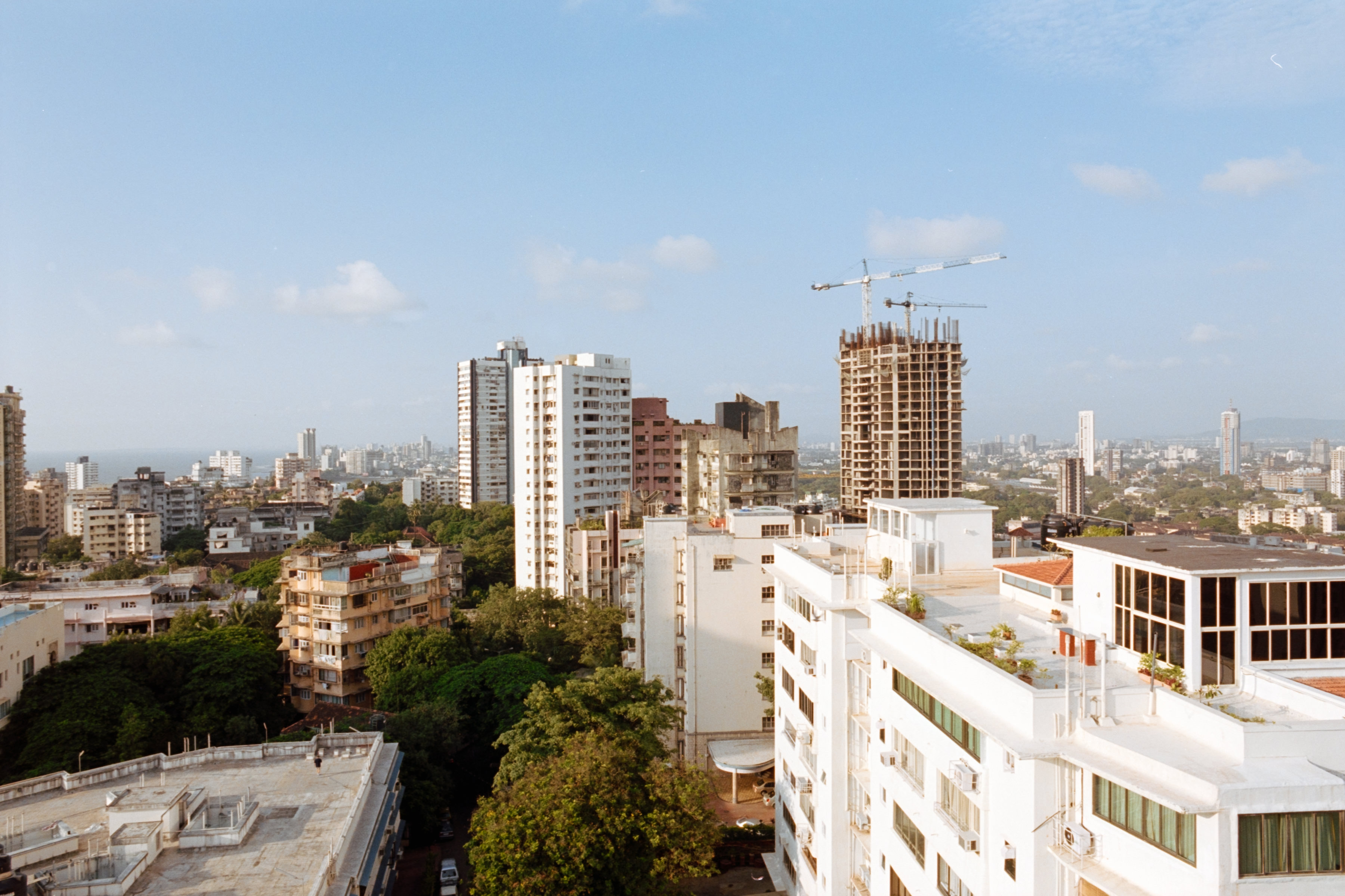 AHP F2004 09 001 sc250526 img22 NLP